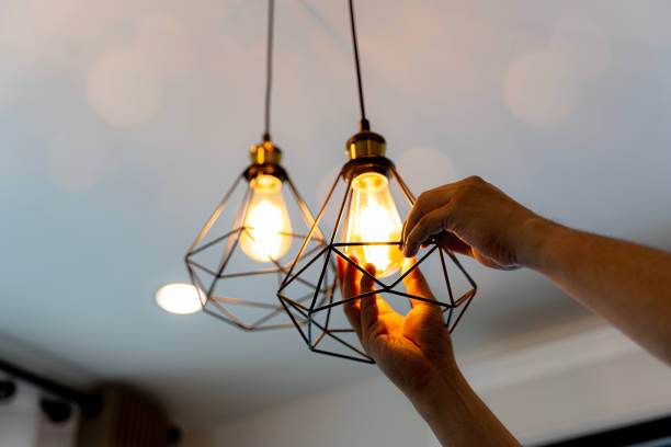 Best Electric Panel Repair  in Kincaid, IL