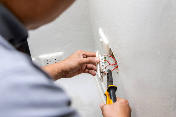 Best Electrician for Home Renovation  in Kincaid, IL