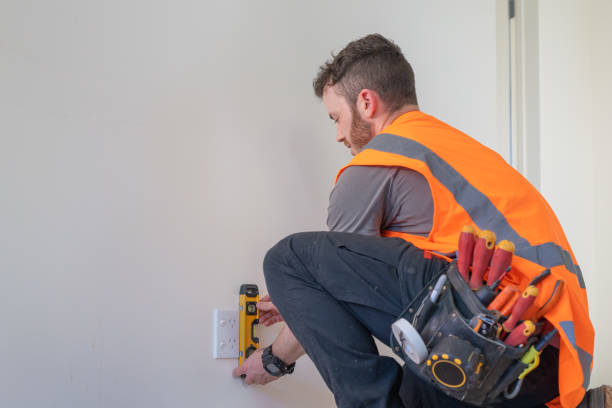 Best Electrician for Home Renovation  in Kincaid, IL
